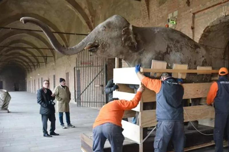 affrontare un trasloco complicato